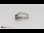 Load and play video in Gallery viewer, Show-Stopping Blue Sapphire Halo Ring in 14k White Gold
