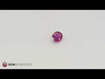 Load and play video in Gallery viewer, Magnificent Oval Pink Sapphire 0.85ct
