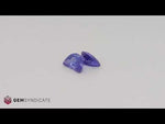 Load and play video in Gallery viewer, Divine Half Moon Bluish/Purple Tanzanite Pair 2.33ctw
