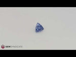 Load and play video in Gallery viewer, Angelic Trillion Blue Sapphire 1.18ct
