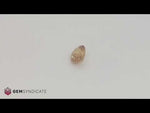Load and play video in Gallery viewer, Lovely Oval Peach Sapphire 1.62ct
