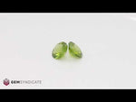 Load and play video in Gallery viewer, Mesmerizing Round Green Peridot Pair 6.77ctw

