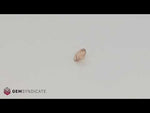 Load and play video in Gallery viewer, Wonderful Round Peach Sapphire 0.67ct

