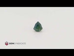 Load and play video in Gallery viewer, Beautiful Fancy Shape Teal Sapphire 1.05ct

