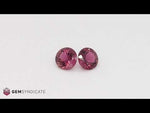Load and play video in Gallery viewer, Lovely Round Pink Tourmaline Pair 3.31ctw
