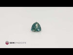 Load and play video in Gallery viewer, Charming Trillion Teal Sapphire 1.04ct
