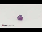 Load and play video in Gallery viewer, Opulent Shield Shaped Purple Sapphire 1.54ct

