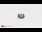 Load and play video in Gallery viewer, Radiant Oval Teal Sapphire 1.56ct
