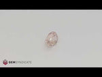 Load and play video in Gallery viewer, Magnificent Oval Peach Sapphire 3.21ct
