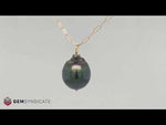 Load and play video in Gallery viewer, Classy Grey Tahitian Necklace in 14k Yellow Gold
