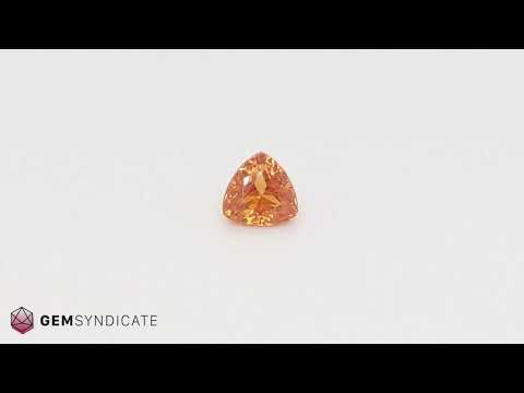 Fiery Trillion Orange Spessartite Garnet 1.82ct