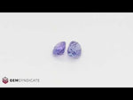 Load and play video in Gallery viewer, Exquisite Oval Purple Tanzanite Pair 3.20ctw
