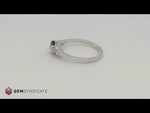 Load and play video in Gallery viewer, Elegant Montana Teal Sapphire Ring in 14k White Gold

