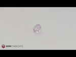 Load and play video in Gallery viewer, Lovely Round Pink Sapphire 1.56ct
