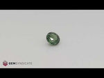 Load and play video in Gallery viewer, Superior Round Teal Sapphire 1.55ct
