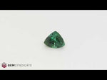 Load and play video in Gallery viewer, Outstanding Trillion Shape Green Tourmaline 3.28ct
