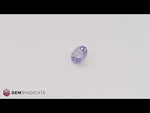 Load and play video in Gallery viewer, Delightful Round Purple Sapphire 1.32ct
