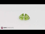 Load and play video in Gallery viewer, Enchanting Trillion Green Peridot Pair 4.22ctw
