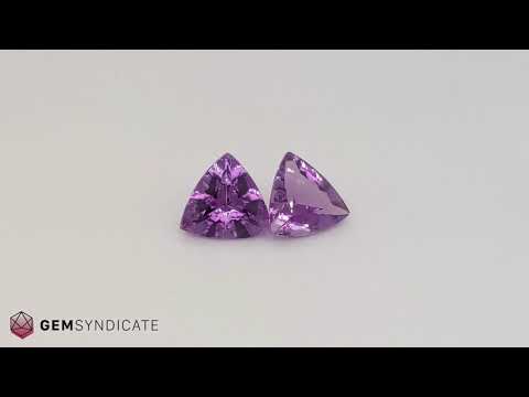 Lovely Trillion Shape Purple Amethyst Pair 8.59ctw