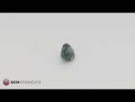 Load and play video in Gallery viewer, Outstanding Oval Teal Sapphire 1.51ct
